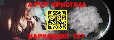 ECSTASY Новозыбков