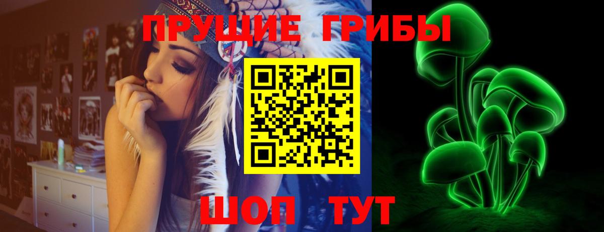 Тольятти  Псилоцибиновые грибы Magic Shrooms  Вход с VPN 